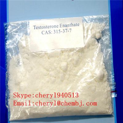 Testosterone Enanthate   CAS : 315-37-7 (Testosterone Enanthate   CAS : 315-37-7)